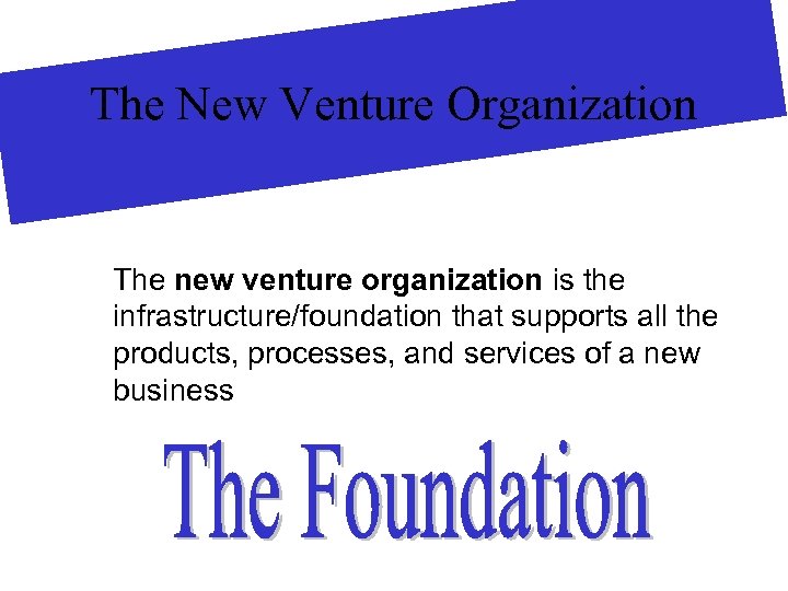 The New Venture Organization The new venture organization is the infrastructure/foundation that supports all