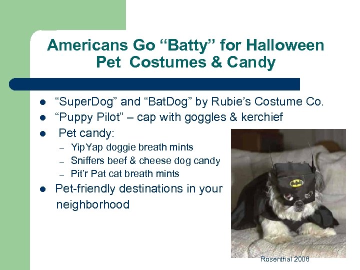 Americans Go “Batty” for Halloween Pet Costumes & Candy l l l “Super. Dog”