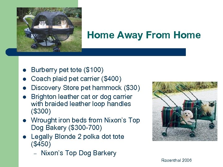 Home Away From Home l l l Burberry pet tote ($100) Coach plaid pet