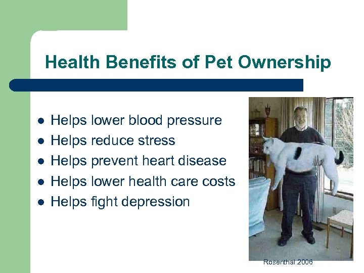 Health Benefits of Pet Ownership l l l Helps lower blood pressure Helps reduce