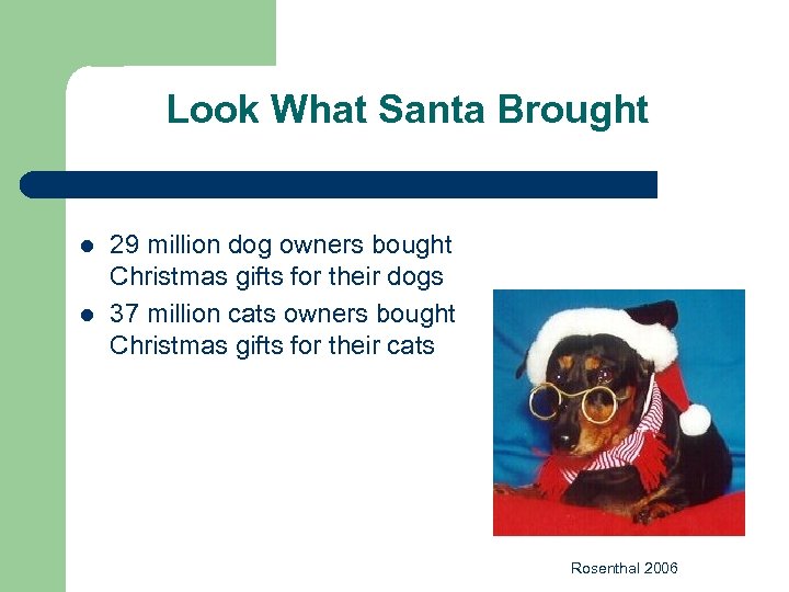 Look What Santa Brought l l 29 million dog owners bought Christmas gifts for