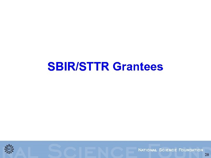 SBIR/STTR Grantees 28 