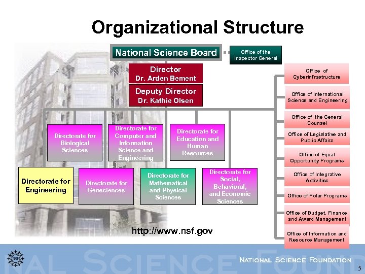 Organizational Structure National Science Board Office of the Inspector General Director Office of Cyberinfrastructure