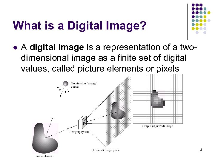 What is a Digital Image? l A digital image is a representation of a