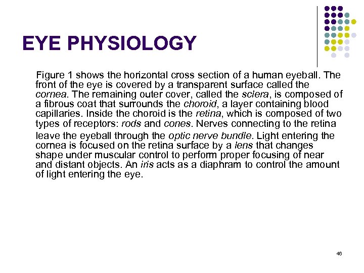 EYE PHYSIOLOGY Figure 1 shows the horizontal cross section of a human eyeball. The