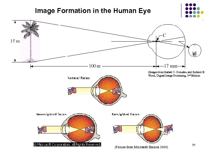 Image Formation in the Human Eye (Images from Rafael C. Gonzalez and Richard E.