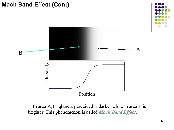 Mach Band Effect (Cont) A Intensity B Position In area A, brightness perceived is