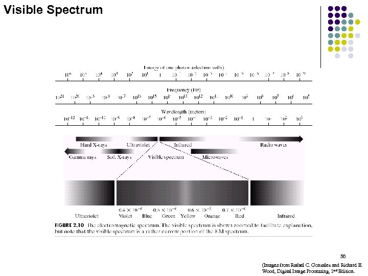 Visible Spectrum 56 (Images from Rafael C. Gonzalez and Richard E. Wood, Digital Image