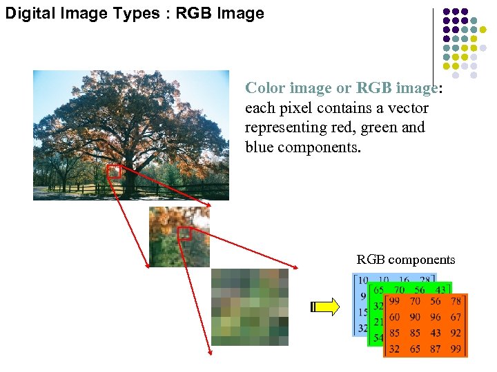 Digital Image Types : RGB Image Color image or RGB image: each pixel contains