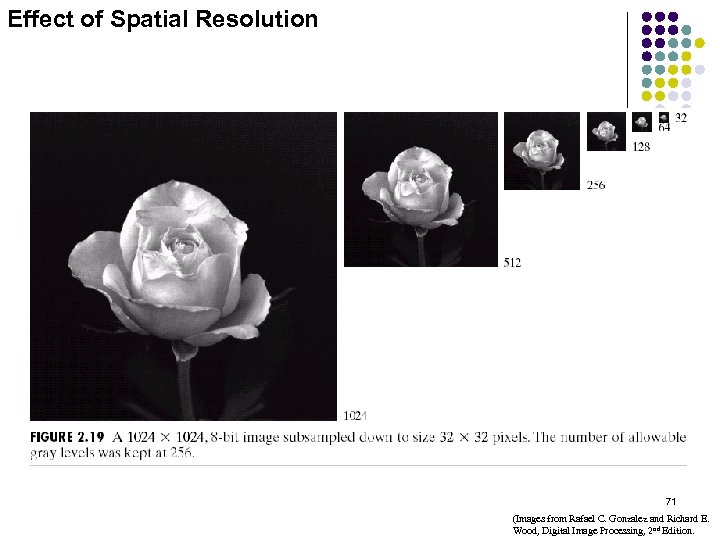 Effect of Spatial Resolution 71 (Images from Rafael C. Gonzalez and Richard E. Wood,