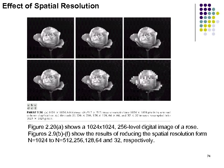 Effect of Spatial Resolution Figure 2. 20(a) shows a 1024 x 1024, 256 -level