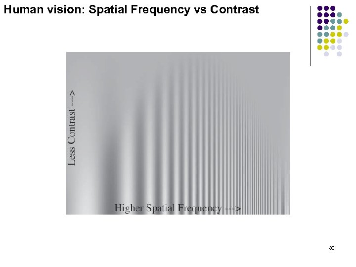 Human vision: Spatial Frequency vs Contrast 80 