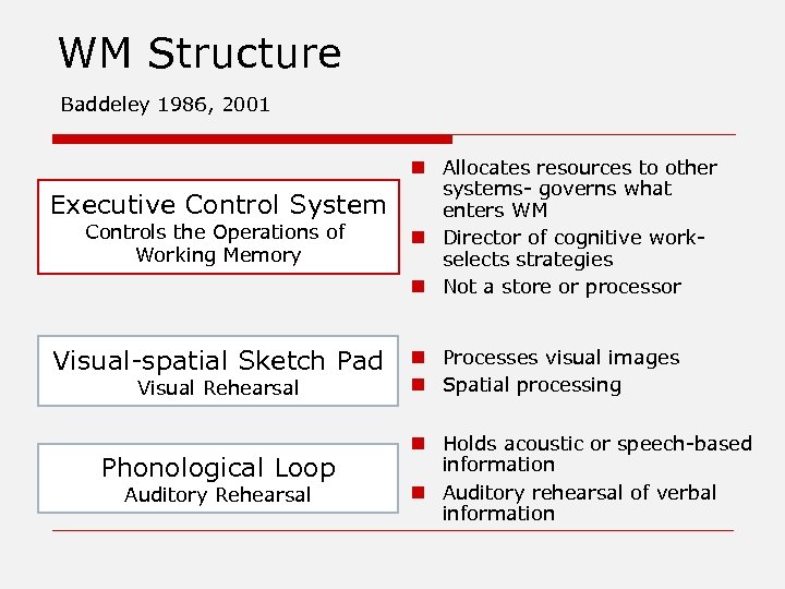 WM Structure Baddeley 1986, 2001 Executive Control System Controls the Operations of Working Memory