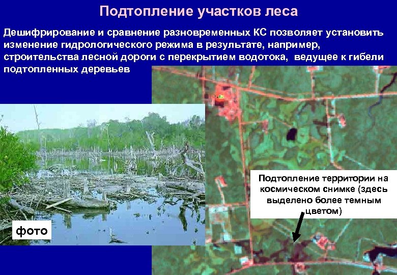 Подтопление участков леса Дешифрирование и сравнение разновременных КС позволяет установить изменение гидрологического режима в