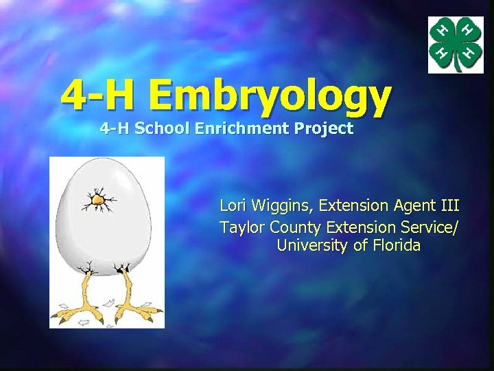 4 -H Embryology 4 -H School Enrichment Project Lori Wiggins, Extension Agent III Taylor