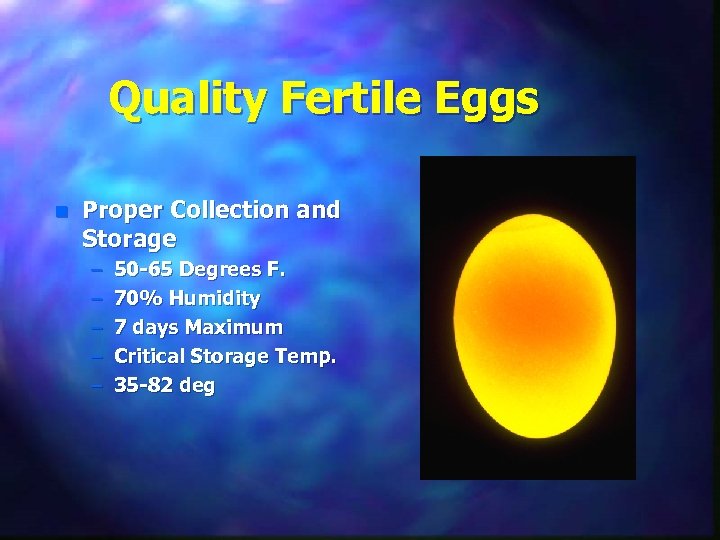 Quality Fertile Eggs n Proper Collection and Storage – – – 50 -65 Degrees