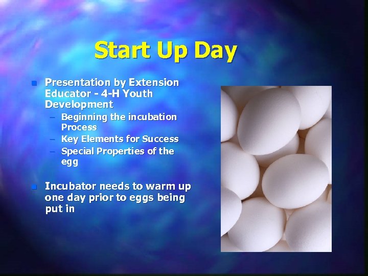 Start Up Day n Presentation by Extension Educator - 4 -H Youth Development –
