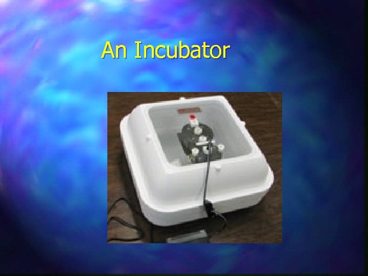 An Incubator 