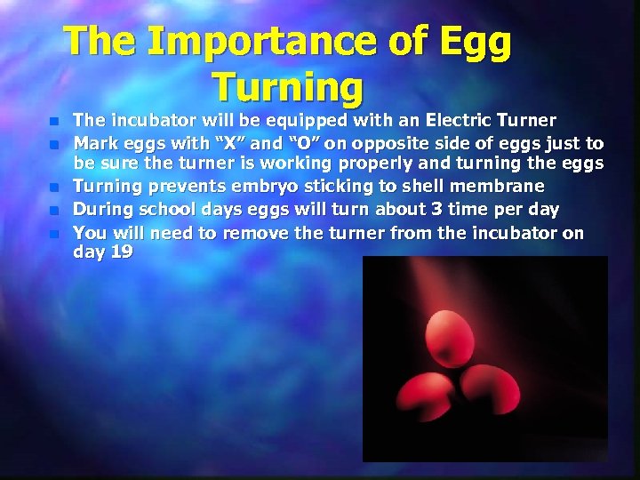 The Importance of Egg Turning n n n The incubator will be equipped with