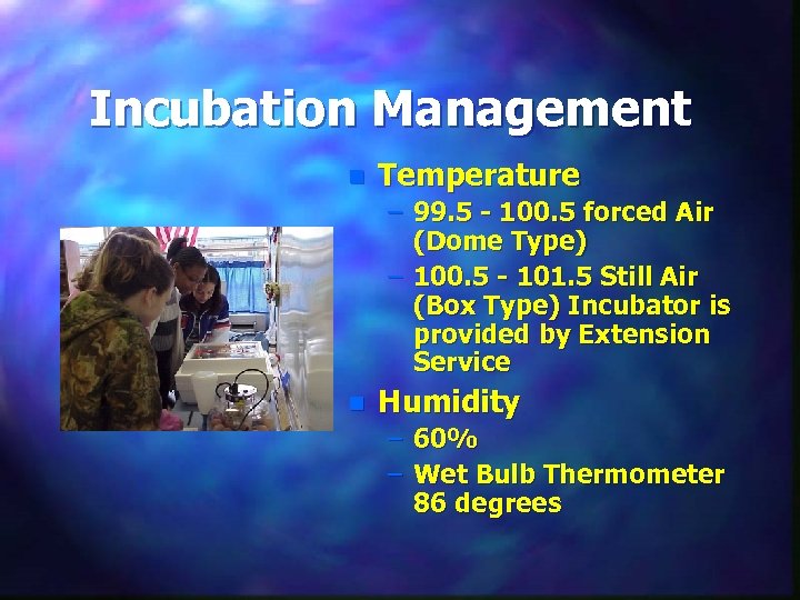 Incubation Management n Temperature – 99. 5 - 100. 5 forced Air (Dome Type)