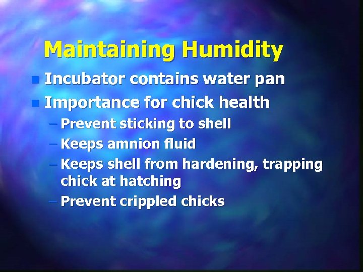 Maintaining Humidity Incubator contains water pan n Importance for chick health n – Prevent