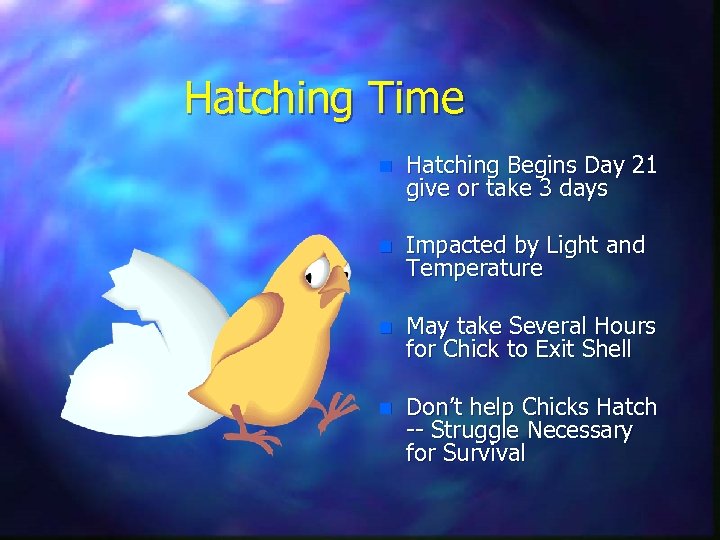 Hatching Time n Hatching Begins Day 21 give or take 3 days n Impacted