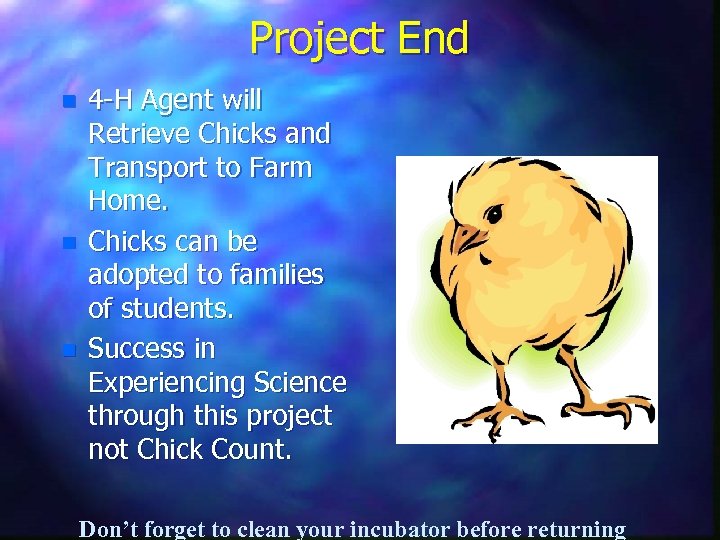 Project End n n n 4 -H Agent will Retrieve Chicks and Transport to