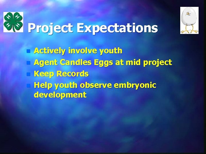 Project Expectations n n Actively involve youth Agent Candles Eggs at mid project Keep