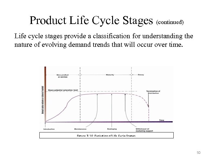 Product Life Cycle Stages (continued) Life cycle stages provide a classification for understanding the
