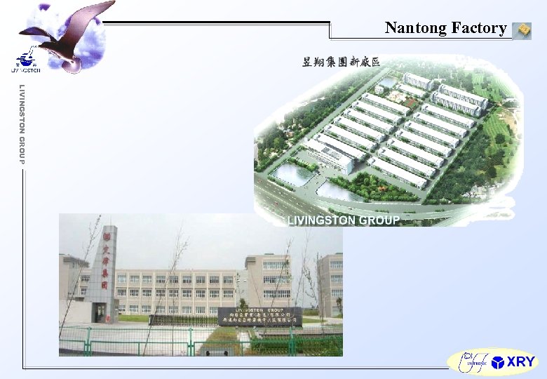 Nantong Factory LIVINGSTON GROUP 