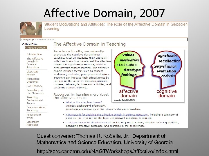 Affective Domain, 2007 Guest convener: Thomas R. Koballa, Jr. , Department of Mathematics and