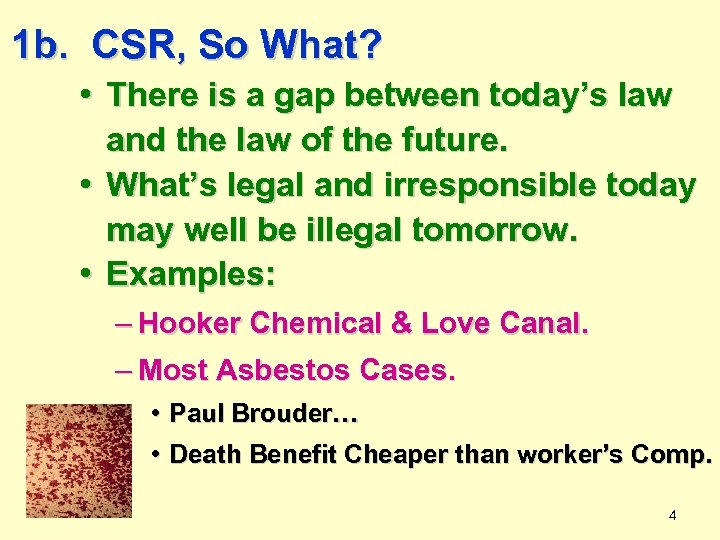 1 b. CSR, So What? • There is a gap between today’s law and