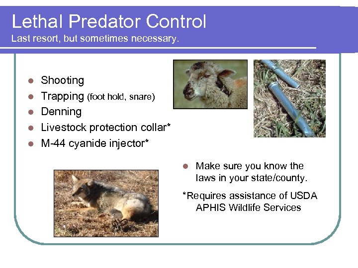Lethal Predator Control Last resort, but sometimes necessary. l l l Shooting Trapping (foot