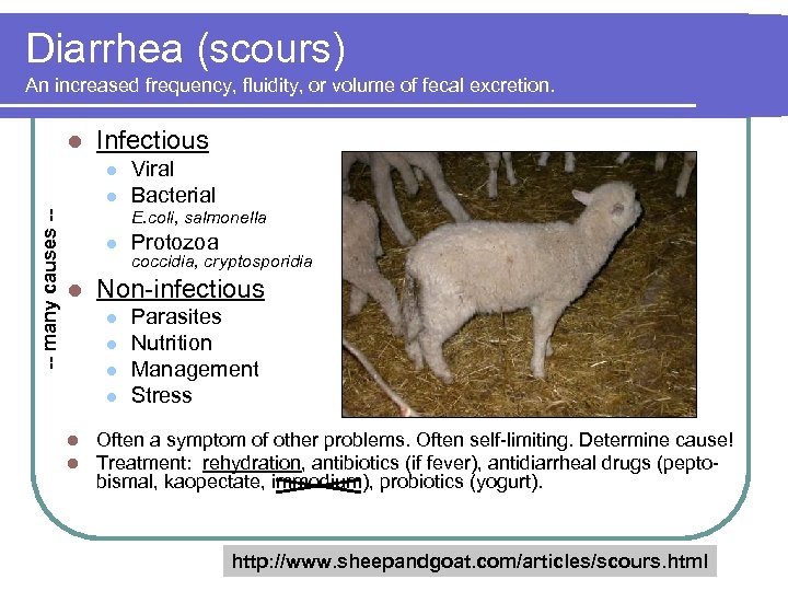 Diarrhea (scours) An increased frequency, fluidity, or volume of fecal excretion. l Infectious l