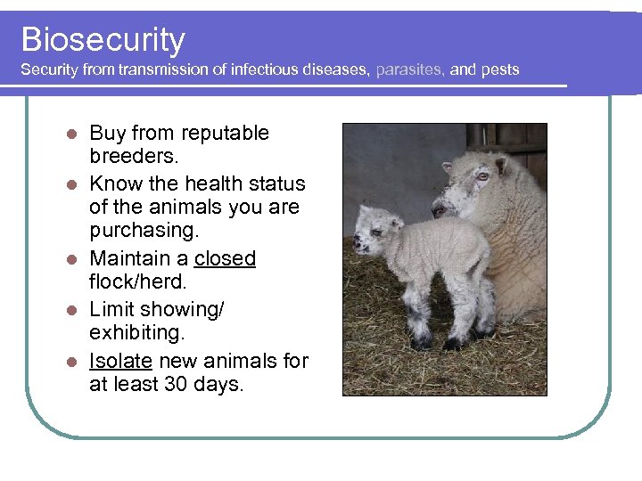Biosecurity Security from transmission of infectious diseases, parasites, and pests l l l Buy