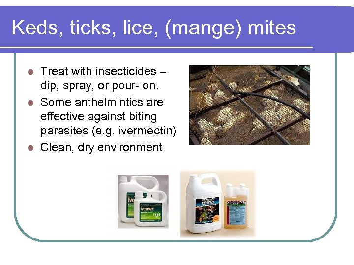 Keds, ticks, lice, (mange) mites Treat with insecticides – dip, spray, or pour- on.