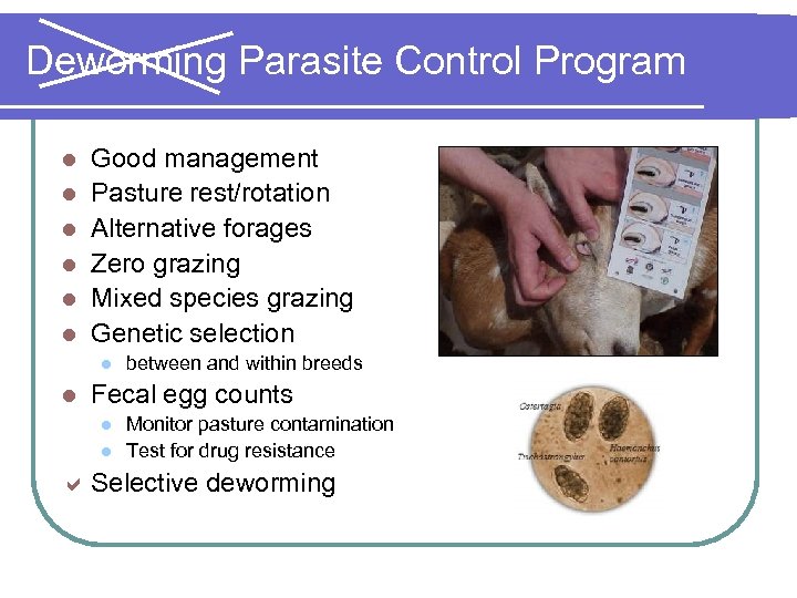 Deworming Parasite Control Program l l l Good management Pasture rest/rotation Alternative forages Zero