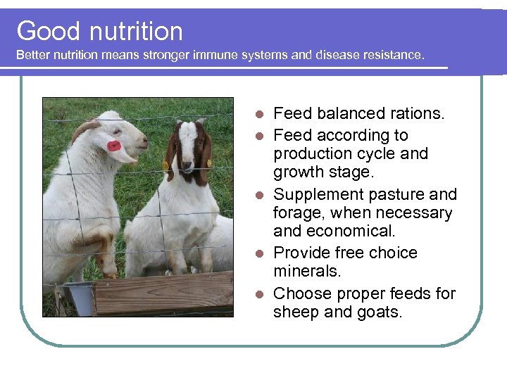 Good nutrition Better nutrition means stronger immune systems and disease resistance. l l l