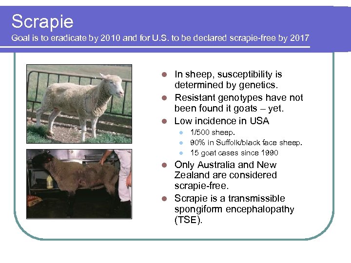 Scrapie Goal is to eradicate by 2010 and for U. S. to be declared