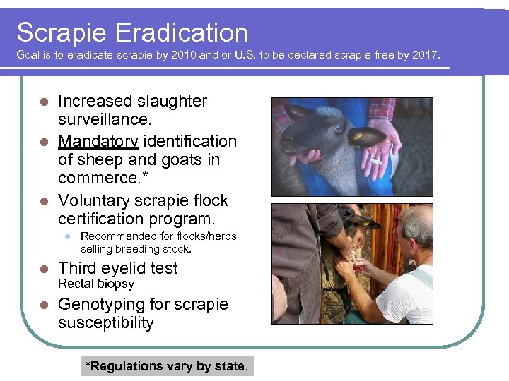 Scrapie Eradication Goal is to eradicate scrapie by 2010 and or U. S. to
