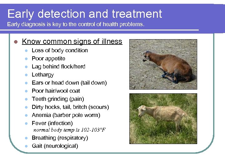Early detection and treatment Early diagnosis is key to the control of health problems.