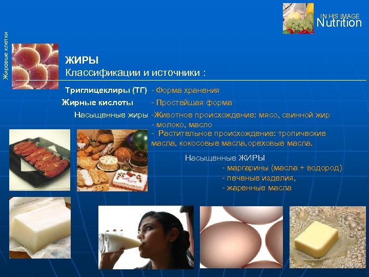 IN HIS IMAGE Жировые клетки Nutrition ЖИРЫ Классификации и источники : Tриглицеклиры (TГ) -
