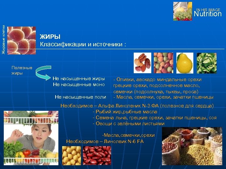 IN HIS IMAGE Жировые клетки Nutrition ЖИРЫ Классификации и источники : Полезные жиры Не