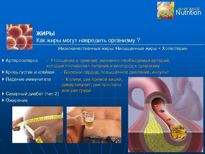 IN HIS IMAGE Nutrition ЖИРЫ Как жиры могут навредить организму ? Низкокачественные жиры: Насыщенные