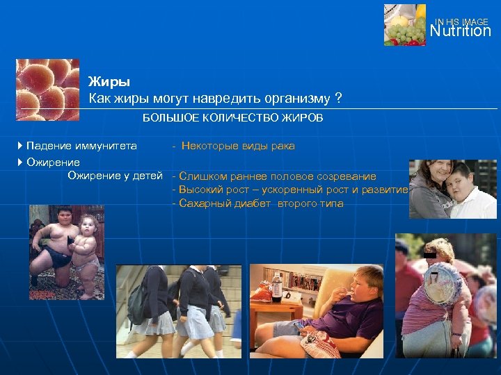 IN HIS IMAGE Nutrition Жиры Как жиры могут навредить организму ? БОЛЬШОЕ КОЛИЧЕСТВО ЖИРОВ