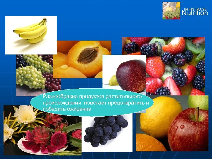 IN HIS IMAGE Nutrition Разнообразие продуктов растительного происхождения помогает предотвратить и победить ожирение 