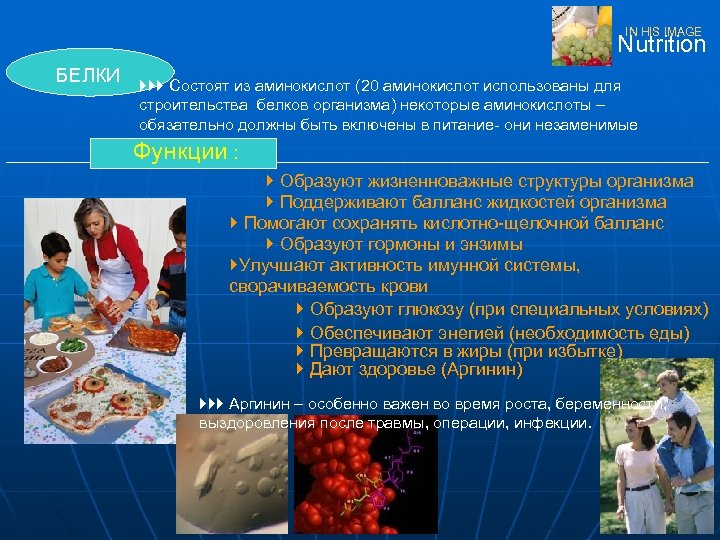 IN HIS IMAGE Nutrition БЕЛКИ }}} Состоят из аминокислот (20 аминокислот использованы для строительства