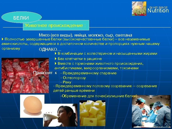 IN HIS IMAGE Nutrition БЕЛКИ Животное происхождение : Мясо (все виды), яяйца, молоко, сыр,
