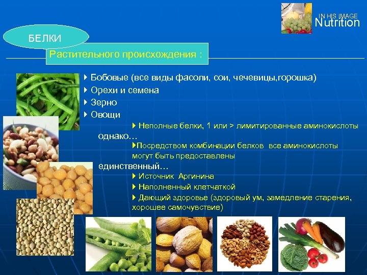 IN HIS IMAGE Nutrition БЕЛКИ Растительного происхождения : } Бобовые (все виды фасоли, сои,