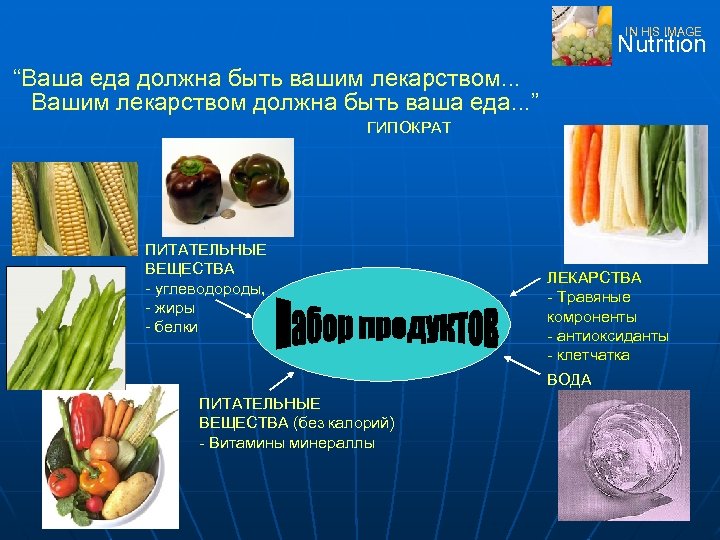 IN HIS IMAGE Nutrition “Ваша еда должна быть вашим лекарством. . . Вашим лекарством